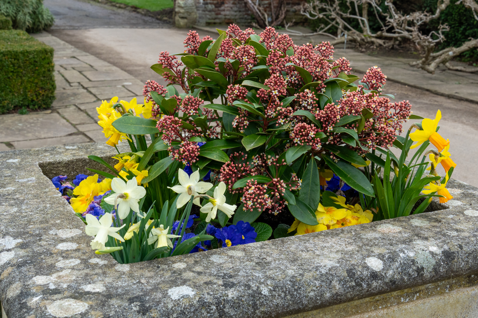 Photography by Chris Allington